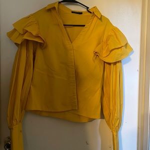 Beautiful large puffy sleeve blouse